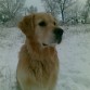 Le vuelve loco la nieve
